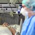İtalyan doktor A Haber'de soruları yanıtladı! İtalya'da salgının önüne neden geçilemiyor?