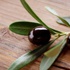 Ekonomiye milyarlık zeytin dopingi Ekonomiye milyarlık zeytin dopingi