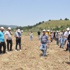 Yırca'ya 6 bin zeytin fidanı