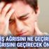 Diş ağrısını ne geçirir? | Diş Ağrısını Geçirecek Öneriler