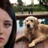 Gizem Karaca: Lütfen yardım edin!