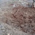 Siirt'te patlayıcı düzeneği bulundu!