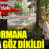 Bir ormana daha göz dikildi. Bu defa avuçlar Üsküdar’daki o yer için ovuşturuluyor Bir ormana daha göz dikildi. Bu defa avuçlar Üsküdar’daki o yer için ovuşturuluyor