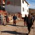 Heyelan mağdurları hayvanlarını bırakıp gidemiyor Heyelan mağdurları hayvanlarını bırakıp gidemiyor