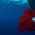 Türk fotoğrafçılar Kızıldeniz'in su altı güzelliklerini yansıttı Türk fotoğrafçılar Kızıldeniz'in su altı güzelliklerini yansıttı