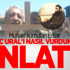 Muhalif komutan Ensar Mihraç Ural'ı nasıl öldürdüklerini anlattı