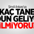 İşte Fernandao'nun Yıllık Ücreti