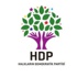 HDP'li bakanlardan ilk açıklama HDP'li bakanlardan ilk açıklama