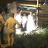 Suriyeli 3 aylık hamile kadın, ağabeyi tarafından öldürüldü