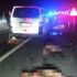 Minibüs sürüye daldı: 34 küçükbaş öldü, 7 kişi yaralandı