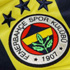 Fenerbahçe'ye çifte müjde Fenerbahçe'ye çifte müjde