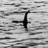 Loch Ness canavarının sırrı çözüldü