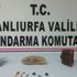 Tarihi eser kaçakçılarına operasyon