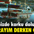 Baba Bush taburcu edildi Baba Bush taburcu edildi