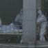 Çin’de yeni koronavirüs salgını: 41 ölü