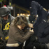 Polis devleti ABD!