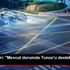 Katar Emiri: "Mevcut durumda Tunus u desteklemeye ... Katar Emiri: "Mevcut durumda Tunus u desteklemeye ...