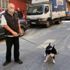Sultangazi de köpeğiyle sokağa çıkan kişiye ceza Sultangazi de köpeğiyle sokağa çıkan kişiye ceza