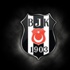Beşiktaş, hisseleri çöküşe geçti