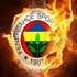 Fenerbahçe'de sakatlık depremi Fenerbahçe'de sakatlık depremi