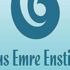 Yunus Emre Enstitüsünün Washington konserine vize engeli