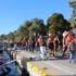 Bodrum Deve Güreşi Festivali Kortej İle Başladı Bodrum Deve Güreşi Festivali Kortej İle Başladı