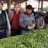 Korona virüsü baklayı da vurdu