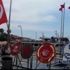 Atatürk Anıtı'na elinde bayrakla gelip İstiklal Marşı söyledi Atatürk Anıtı'na elinde bayrakla gelip İstiklal Marşı söyledi