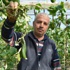 Soğuk vuran salatalığın fiyatı yükseldi ama ürün kalmadı