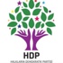 HDP'den son dakika açıklaması