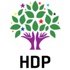 HDP'ye, İzmir mitingi nedeniyle dava açıldı