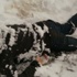 Karların Altından Cesedi Bulundu