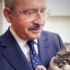 CHP'yi kedi Şero temsil edecek