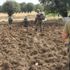 Tunceli'de PKK'nın patlayıcı düzeneği bulundu Tunceli'de PKK'nın patlayıcı düzeneği bulundu