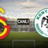 Aslan koltuk için sahada