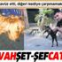 Biri köpeğe tecavüz etti, diğeri kediye çarpmamak için kaza yaptı