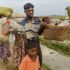 Myanmar'da 24 binden fazla Arakanlı Müslüman öldürüldü