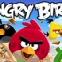 Angry Birds kan ağlıyor Angry Birds kan ağlıyor