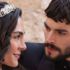 Hercai ne demek? Hercai kelime anlamı nedir? Hercai ne demek? Hercai kelime anlamı nedir?