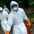 Sierra Leone'de yeni bir tür Ebola virüsü keşfedildi