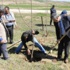 Ergani’de Bin Fidan Toprakla Buluştu Ergani’de Bin Fidan Toprakla Buluştu