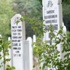 Mezarlıklar e-Devlet'ten sorgulanabilecek