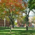 Harvard Üniversitesi, daha yeşil bir alan için... Harvard Üniversitesi, daha yeşil bir alan için...