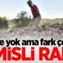 Fire yok ama fark çok! Fındıkta 6 misli rant