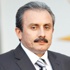 Mustafa Şentop: Paralel yapı HDP'ye oynuyor Mustafa Şentop: Paralel yapı HDP'ye oynuyor