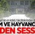 Ankara Ziraat ve veterinerlik fakülteleri 'tarım ve hayvancılığa neden sessiz?