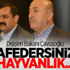 Dışişleri Bakanı Çavuşoğlu: Afedersiniz hayvanlık... Dışişleri Bakanı Çavuşoğlu: Afedersiniz hayvanlık...