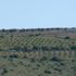 PKK/PYD Halep'te sivilleri vurdu: 1 ölü, 2 yaralı