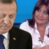 Sevilay Yükselir'den Yalçın Akdoğan'a ağır sözler: Karga Sevilay Yükselir'den Yalçın Akdoğan'a ağır sözler: Karga