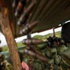 Burundi'de askeri darbe Burundi'de askeri darbe